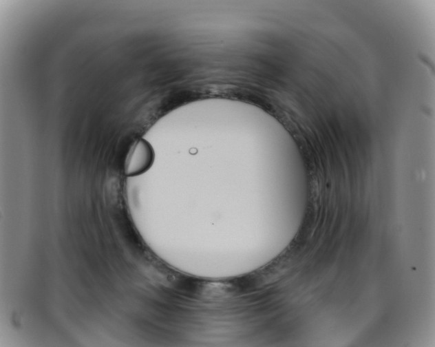 X0000096720222200802051107