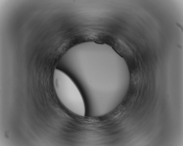 X0000096720223200802051107