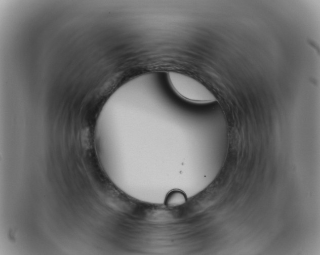 X0000096720224200802051107