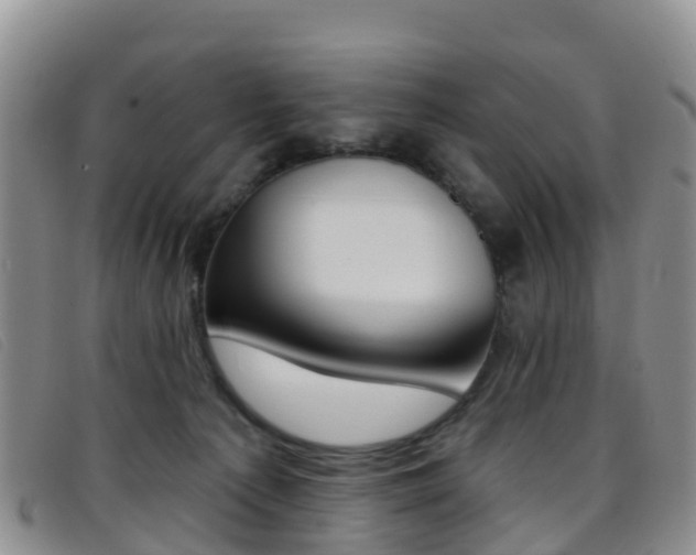 X0000096720225200802051107