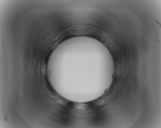 X0000096720226200802051107