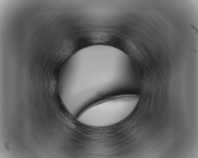 X0000096720227200802051107