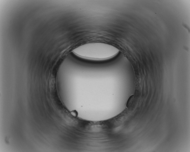 X0000096720228200802051107