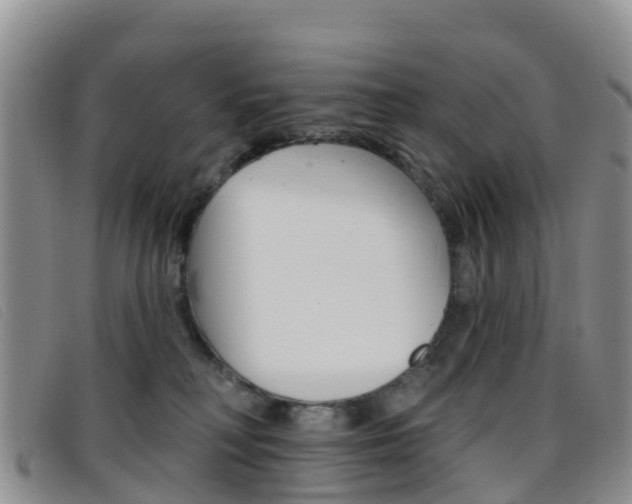 X0000096720230200802051107