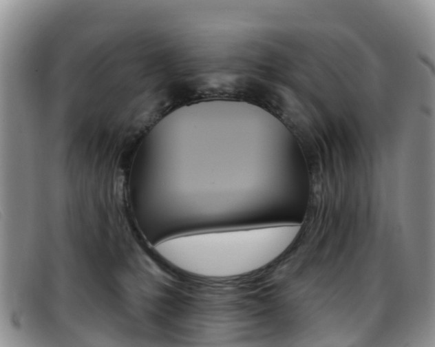 X0000096720231200802051107