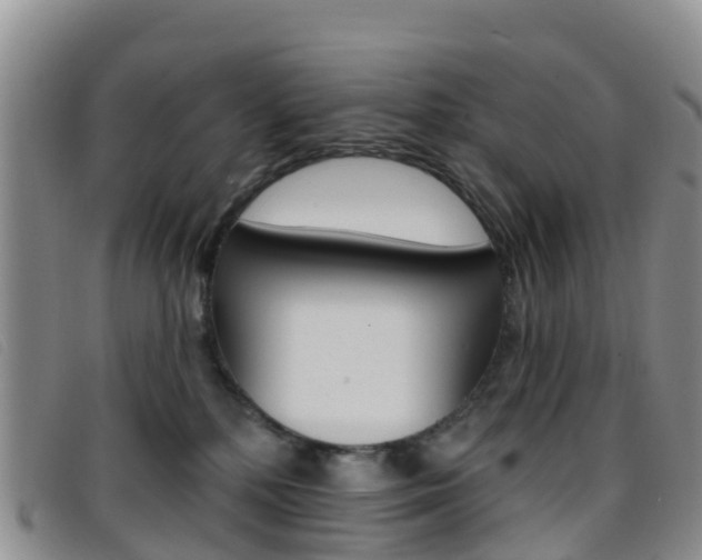 X0000096720232200802051107