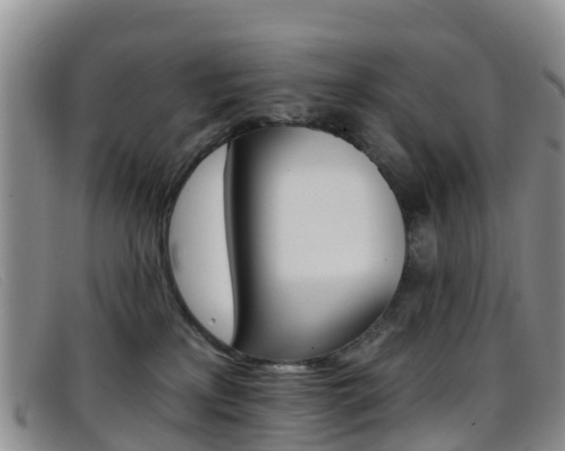 X0000096720233200802051107