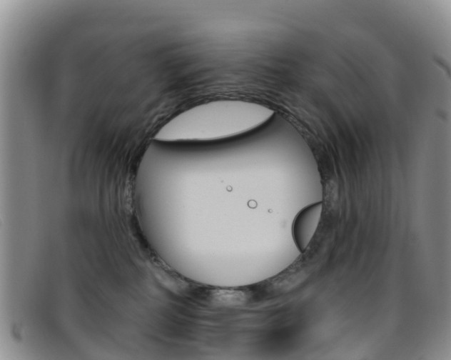 X0000096720234200802051107