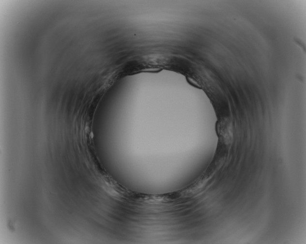 X0000096720235200802051107