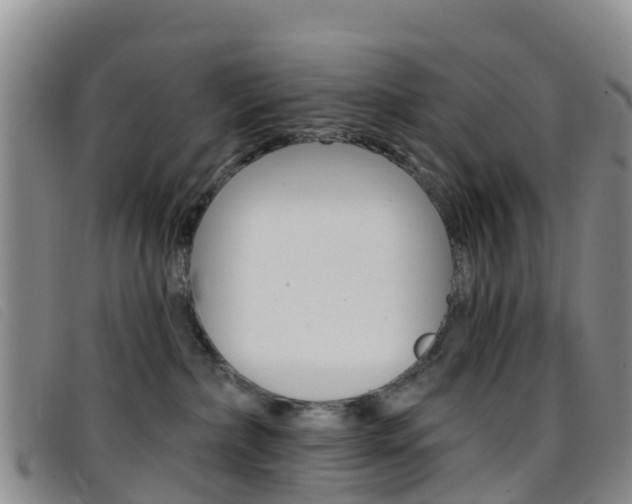 X0000096720236200802051107