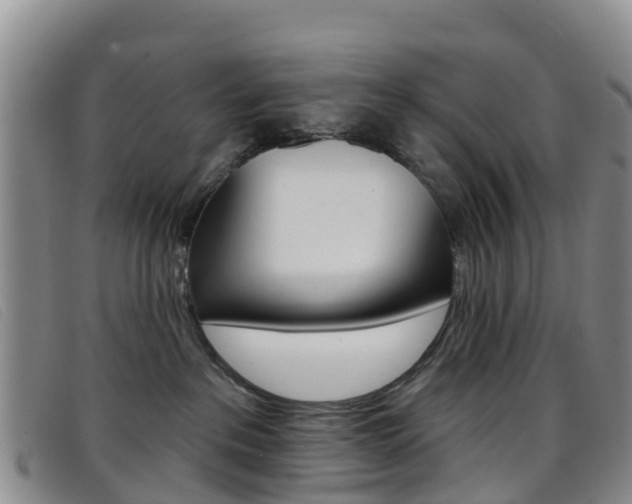 X0000096720237200802051107