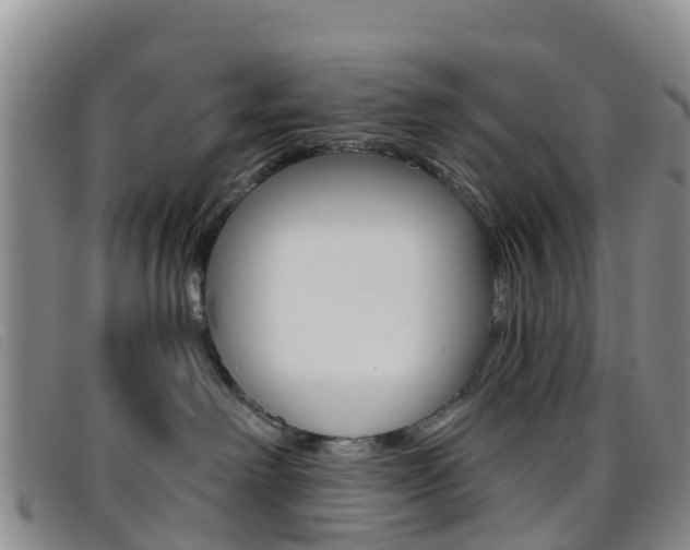 X0000096720238200802051107