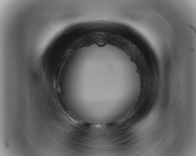 X0000096720239200802051107