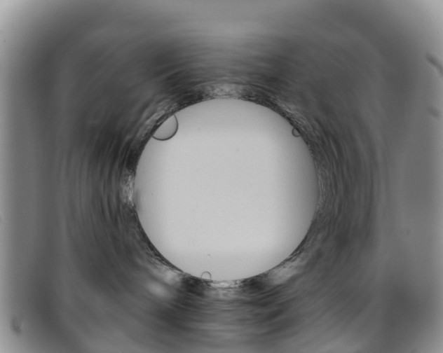 X0000096720240200802051107