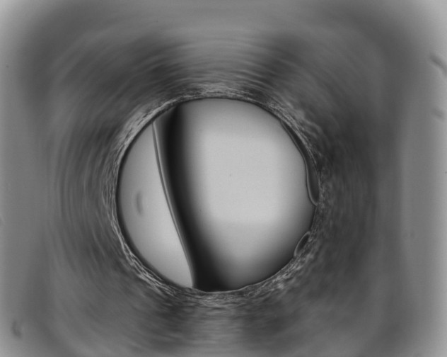 X0000096720241200802051106