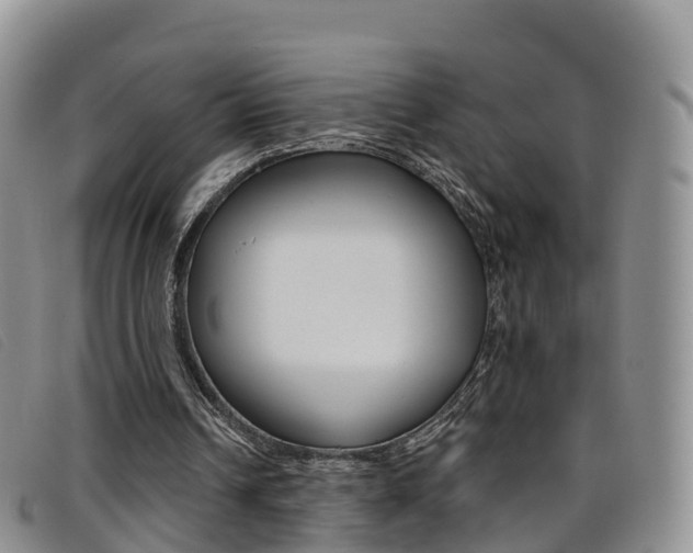 X0000096720242200802051106