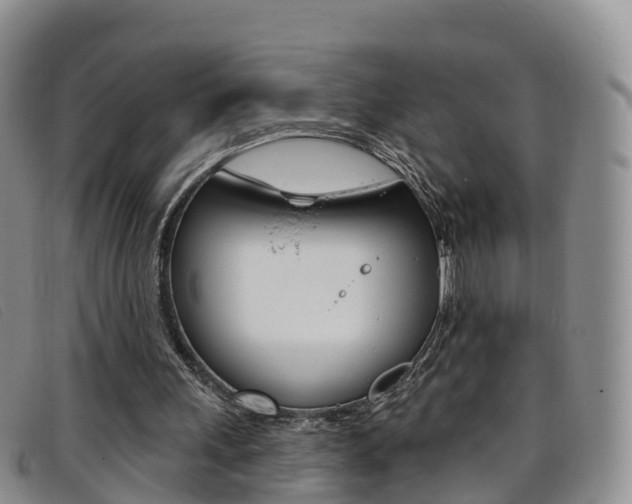 X0000096720243200802051106