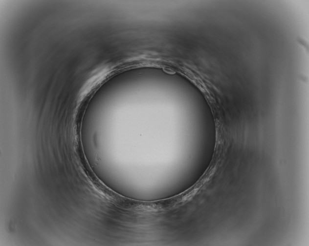 X0000096720245200802051106