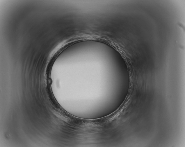 X0000096720246200802051106