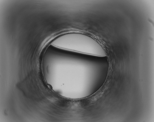X0000096720247200802051106