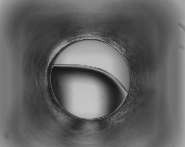 X0000096720248200802051106