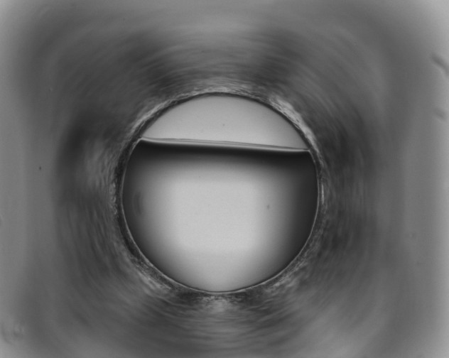 X0000096720249200802051106