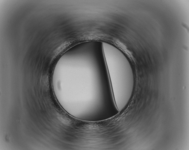 X0000096720250200802051106