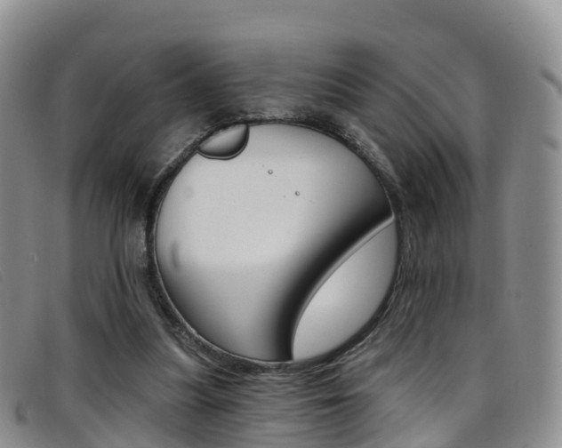 X0000096720251200802051106