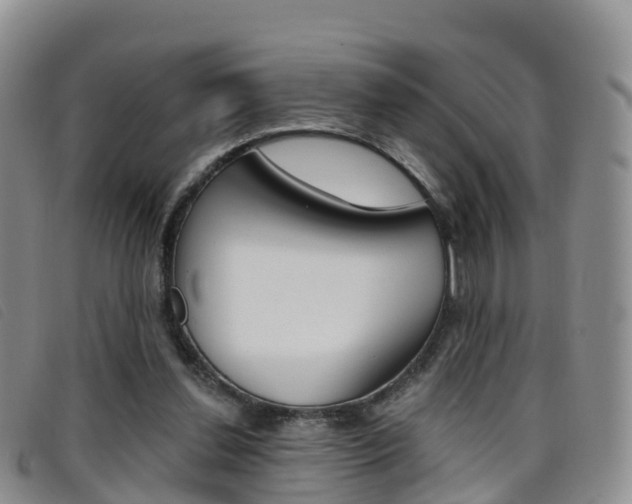 X0000096720252200802051106