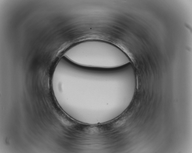 X0000096720253200802051106