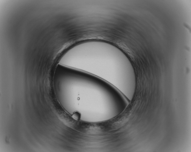 X0000096720256200802051106