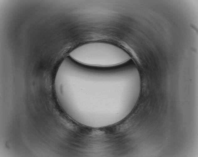 X0000096720257200802051106