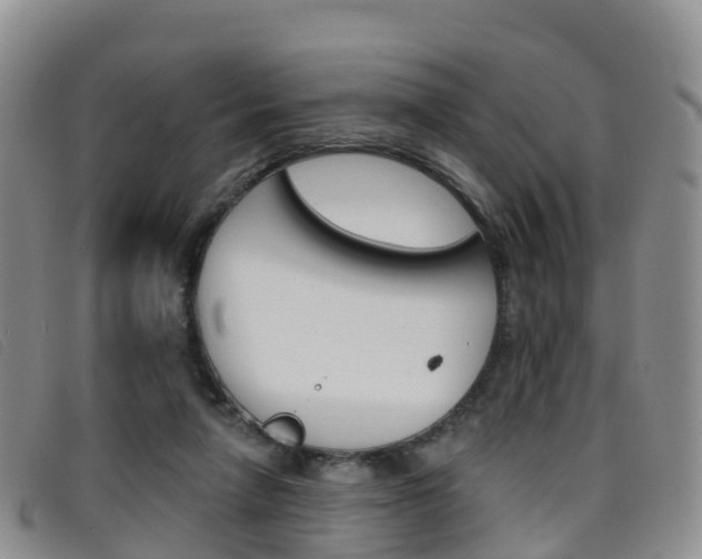 X0000096720258200802051106