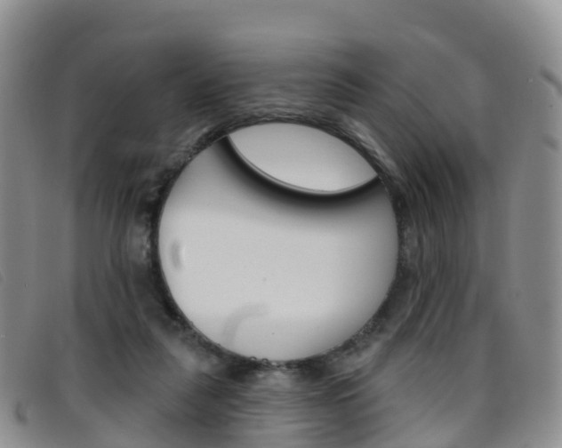 X0000096720259200802051106