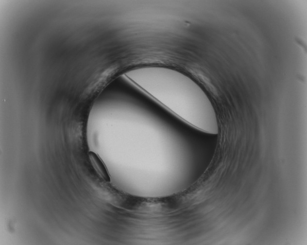 X0000096720260200802051106