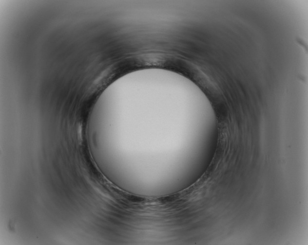 X0000096720262200802051106