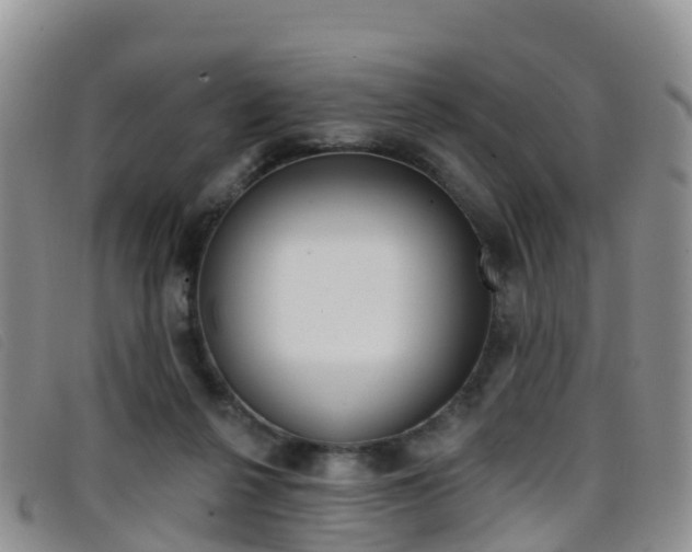 X0000096720264200802051106