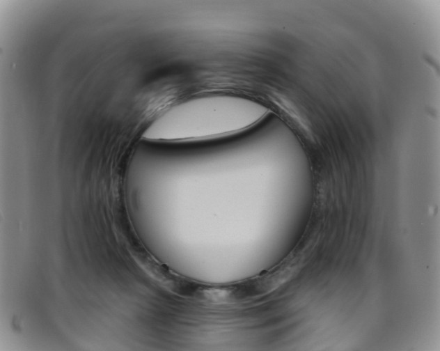 X0000096720265200802051106