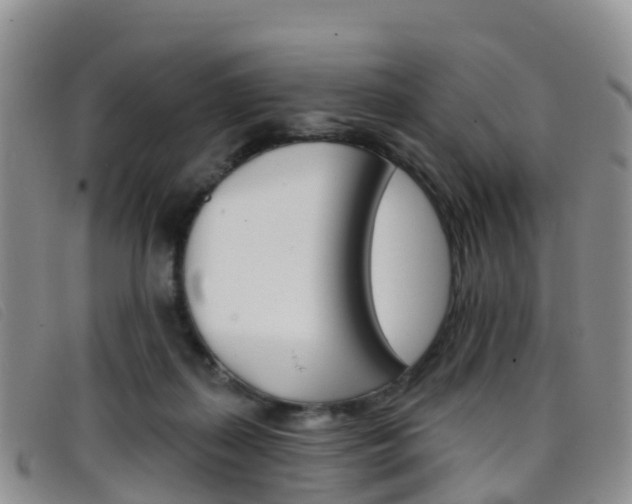 X0000096720267200802051106