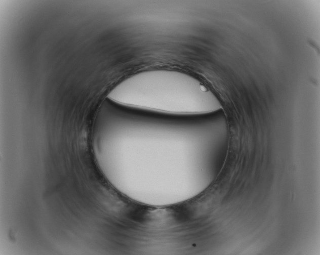 X0000096720269200802051106