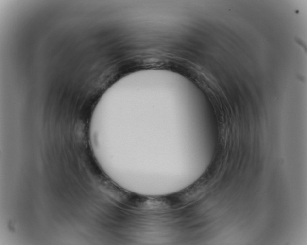 X0000096720270200802051106