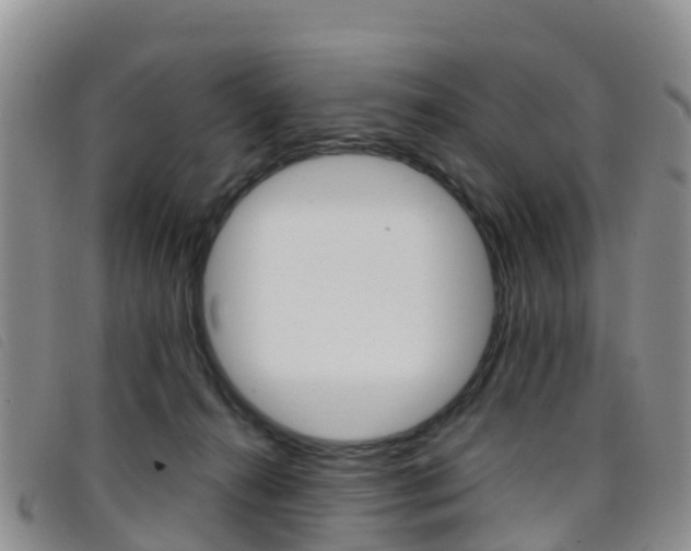 X0000096720272200802051106