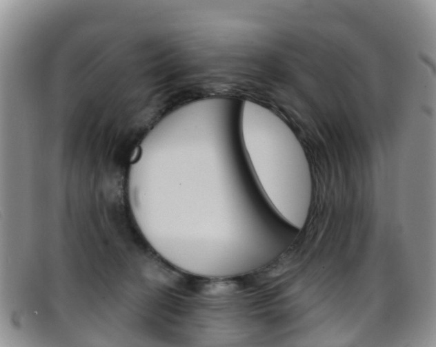 X0000096720274200802051106