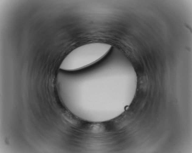 X0000096720275200802051106