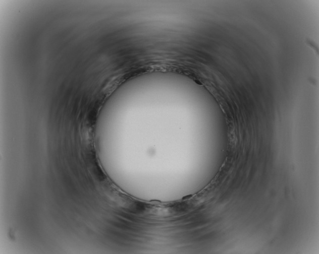 X0000096720276200802051106