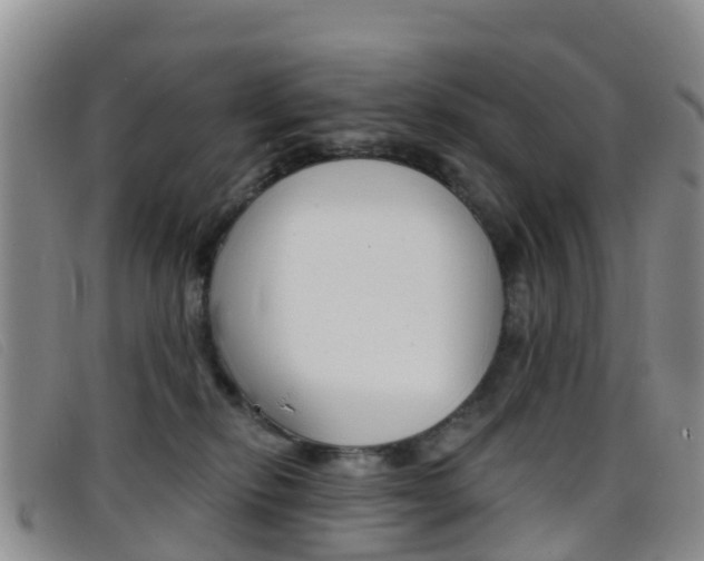 X0000096720278200802051106
