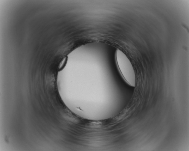 X0000096720279200802051106