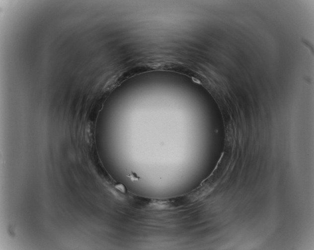 X0000096720280200802051106