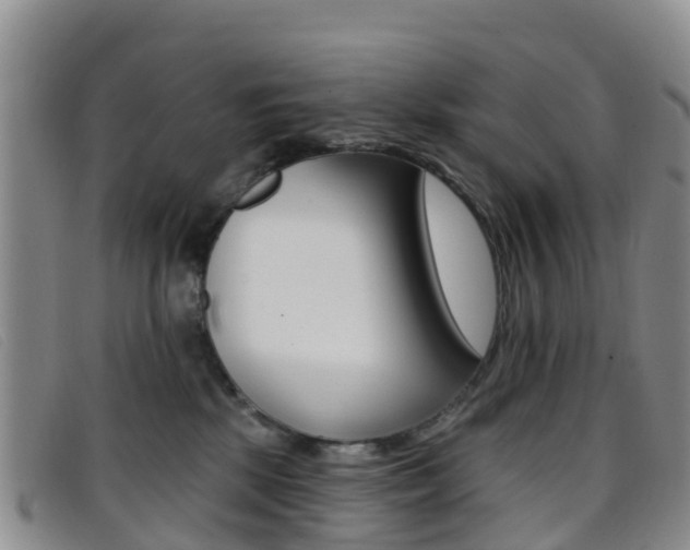 X0000096720281200802051106