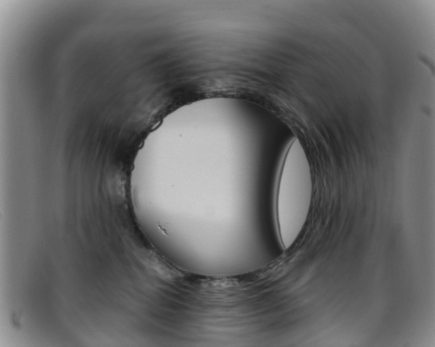 X0000096720282200802051106
